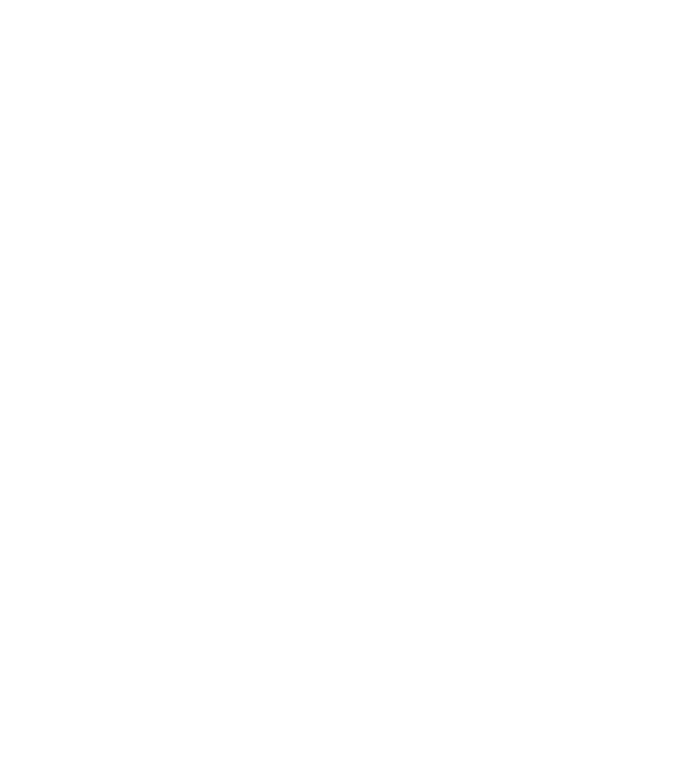 AIS Generation